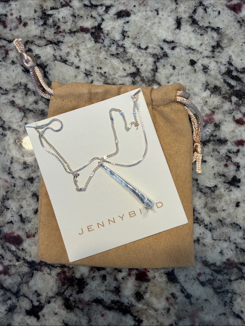 Jenny Bird Silver Spike Pendant Necklace